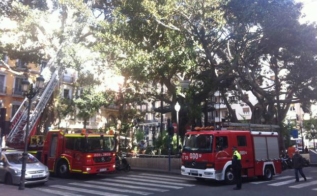 Rescatan a un mastín atrapado durante toda la noche bajo una caravana en La Vall de Laguar