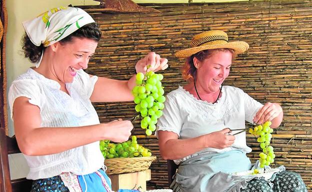 El potencial de la uva moscatel