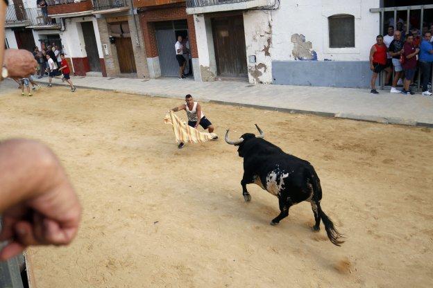 Peñas y ayuntamientos alertan del 'fraude' de ganaderías en los bous al carrer