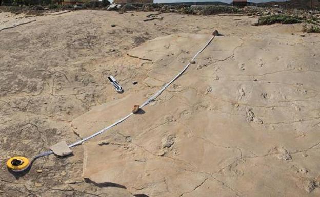 El hallazgo de huellas de 5,7 millones de años desconcierta a los científicos