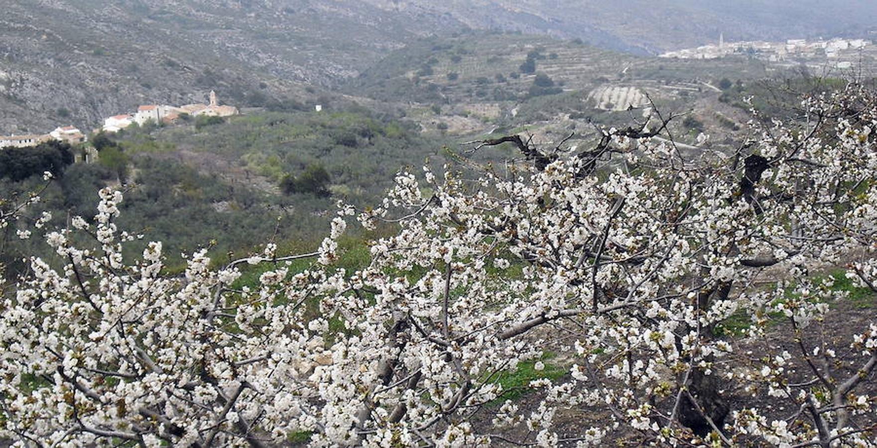 Fotos de la Vall de la Gallinera