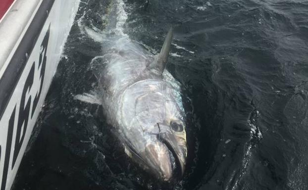 Dos valencianos pescan el atún de la victoria en un concurso en Canadá