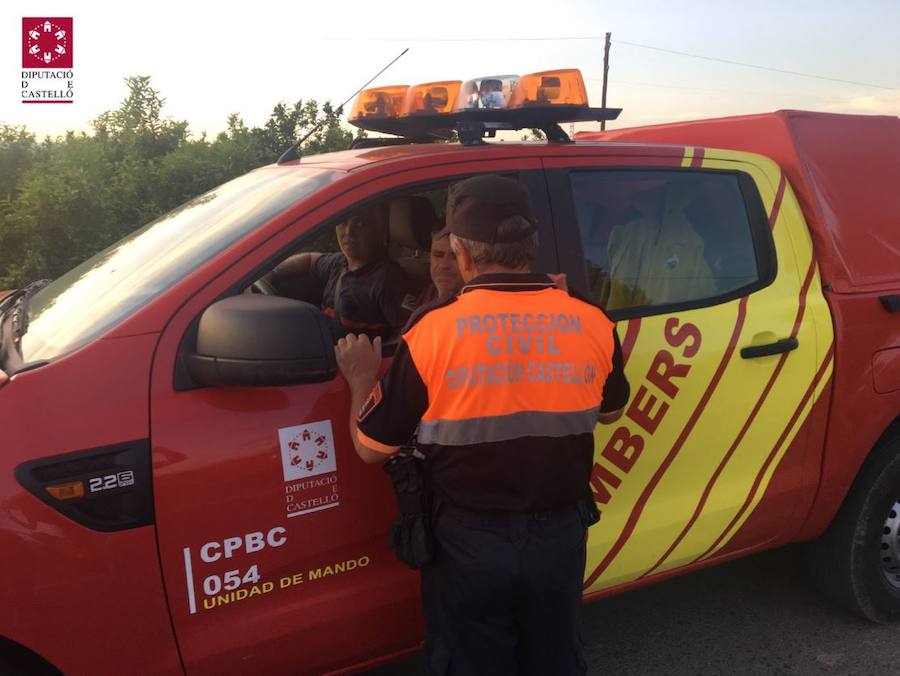 Fotos de las fuerzas de seguridad buscando la vaca de Burriana