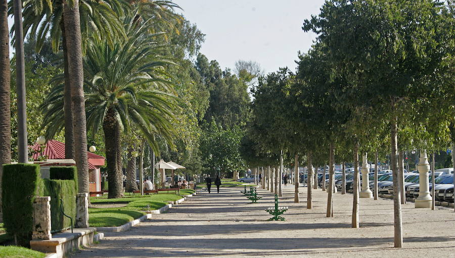 Fotos de las rutas en bici de Valencia