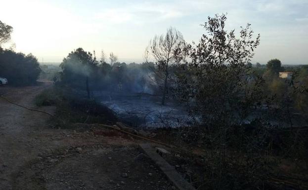 Controlado el incendio forestal en Rafelguaraf