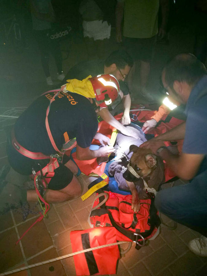 Rescatan en Xàbia a un perro herido tras caer de un puente al cauce del río Gorgos