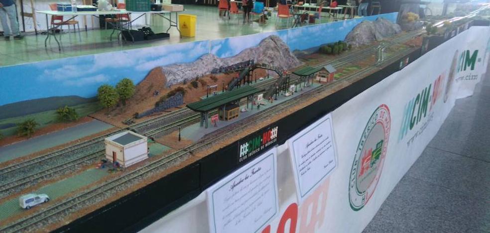 Los trenes en miniatura llegan a Valencia