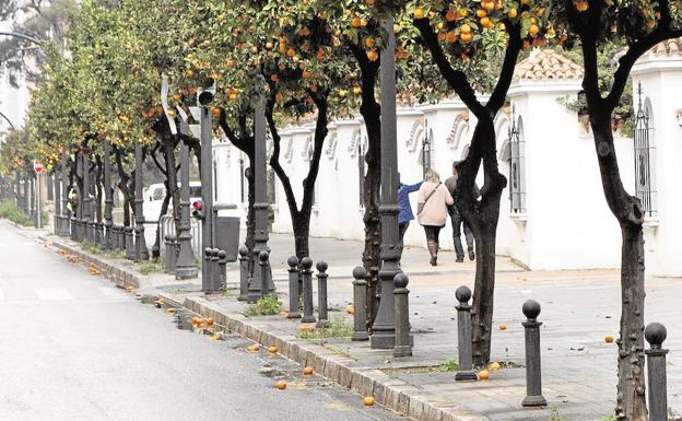 Vecinos de Benicalap persiguen y retienen al autor de un robo