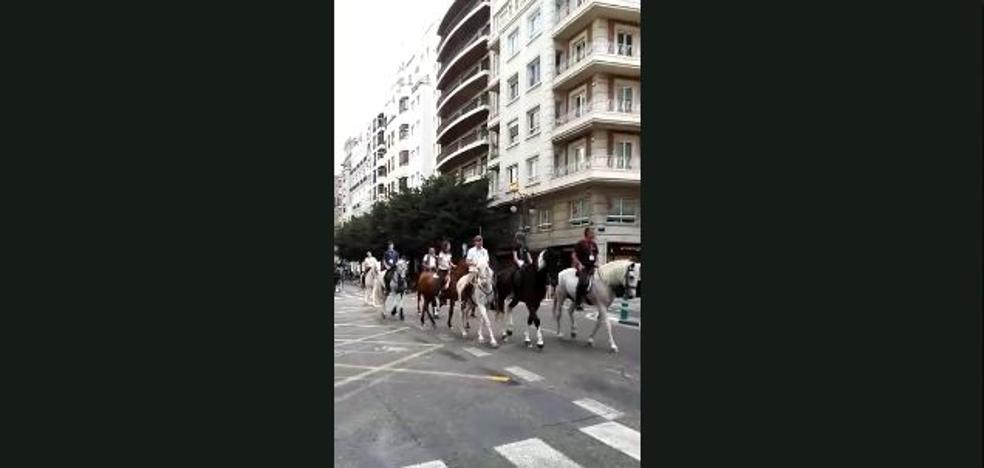 Valencia celebra el Día del Caballo