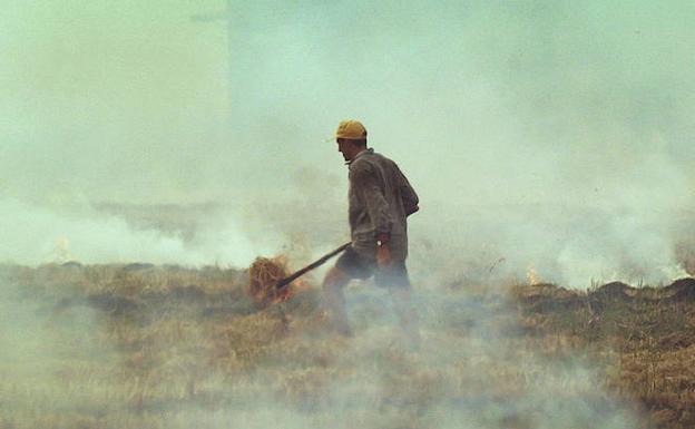 La Generalitat prorroga 13 días la prohibición de quemas agrícolas a menos de 500 metros de terreno forestal