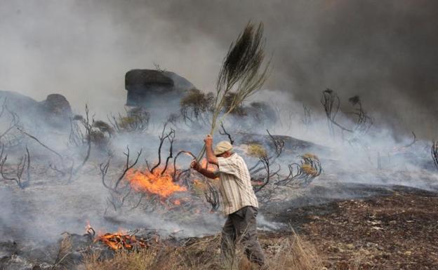 Tejerina: «Estamos preparados para apagar incendios, no para incendiarios»