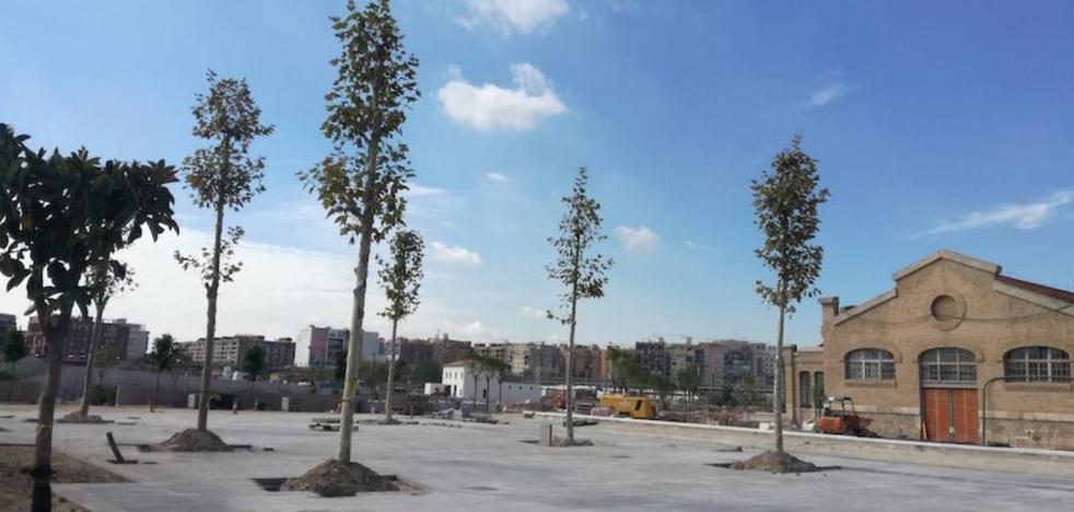 El verde asoma por el Parque Central de Valencia