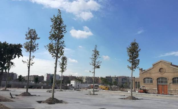 El verde asoma por el Parque Central de Valencia