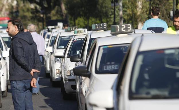 Aprobada la ley del taxi que apuesta por el modelo 'un taxista, una licencia'