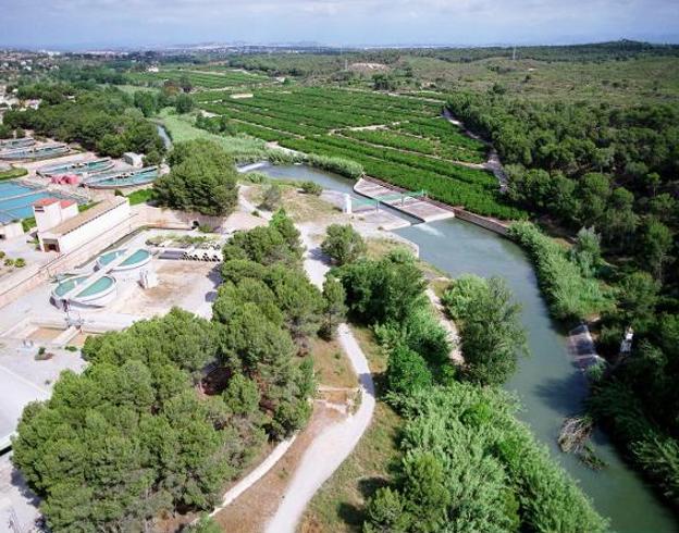 La sequía provoca quejas por el sabor a tierra del agua potable en Valencia y l'Horta