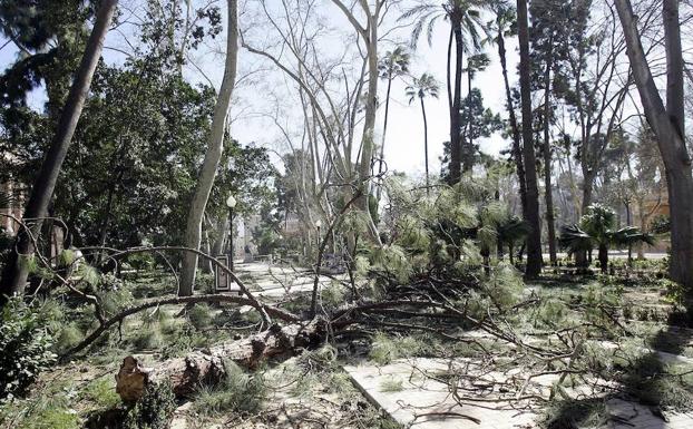 El viento obliga a cerrar cinco parques en Valencia