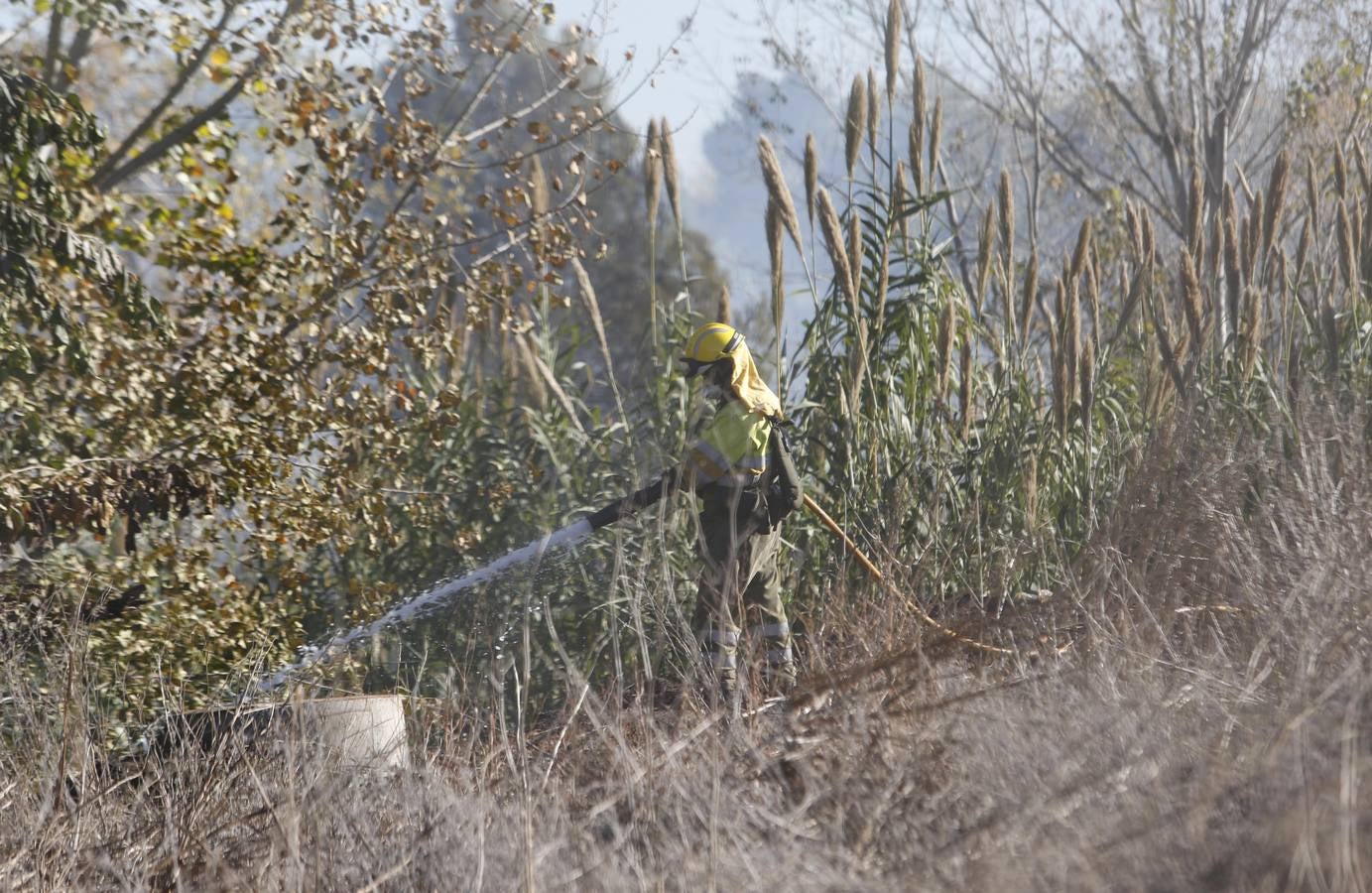 Fotos del incendio en Riba-roja que ha obligado a desalojar varios chalés