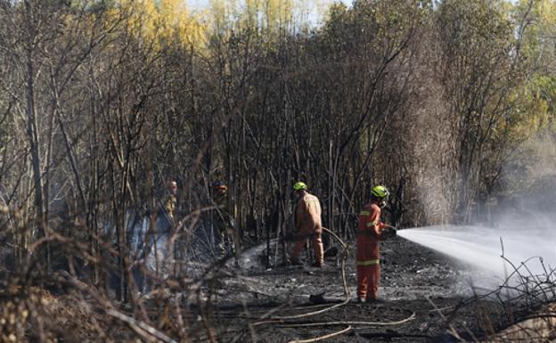 Varios chalés desalojados por un incendio en Riba-roja