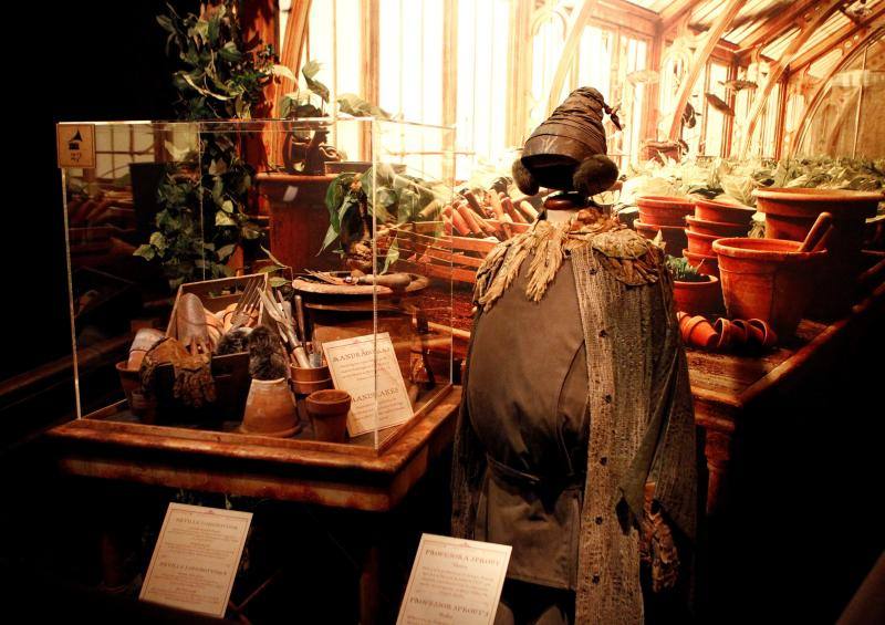 La exposición de Harry Potter levanta pasiones en España