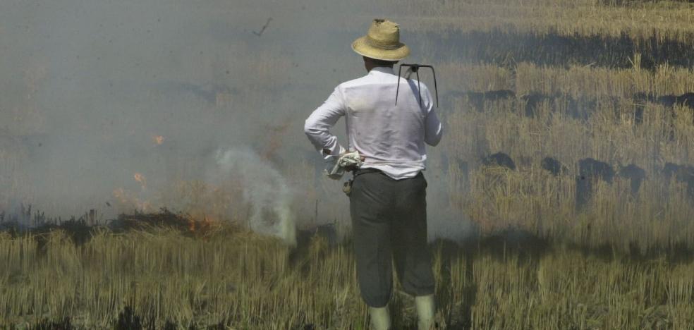 Agricultores de la Albufera estudian manifestaciones para protestar contra Ribó