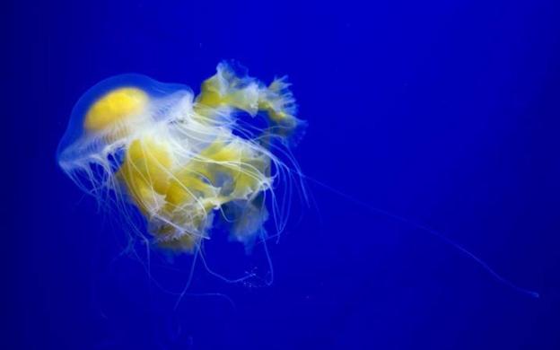 10 ideas para los días libres en Valencia