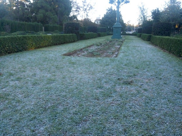 Las temperaturas bajo cero se mantienen en Valencia