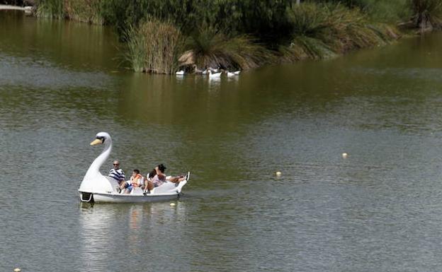Cinco cosas para hacer hoy en el viejo cauce