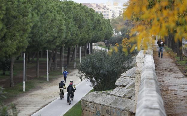 El Ayuntamiento de Valencia invertirá 1,5 millones de euros en siete nuevas rutas ciclistas