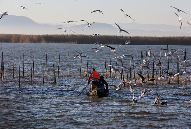 Una barca, unas gaviotas y la Albufera