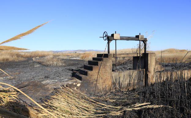 Agricultura prohíbe las quemas a menos de 500 metros de terreno forestal