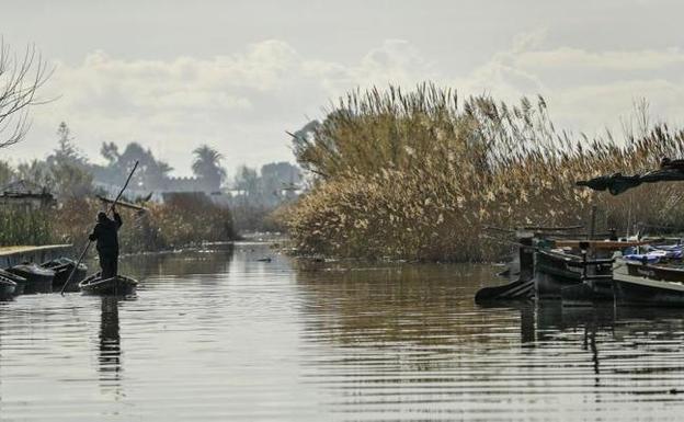 La navegación se prohíbe en parte de la Albufera al reducir la sequía las zonas de aves