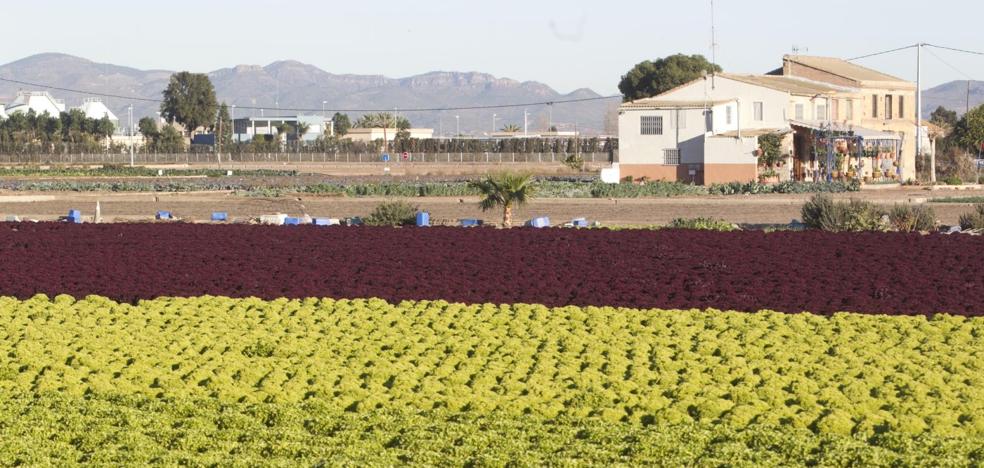 La ley para proteger la huerta planea hasta la instalación de cementerios