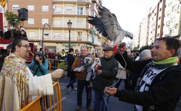 Las mascotas ocupan la calle Sagunto por San Antonio