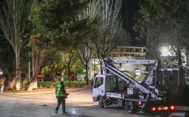 La bebé hallada muerta en un vertedero de Granada nació viva, sana y a su tiempo