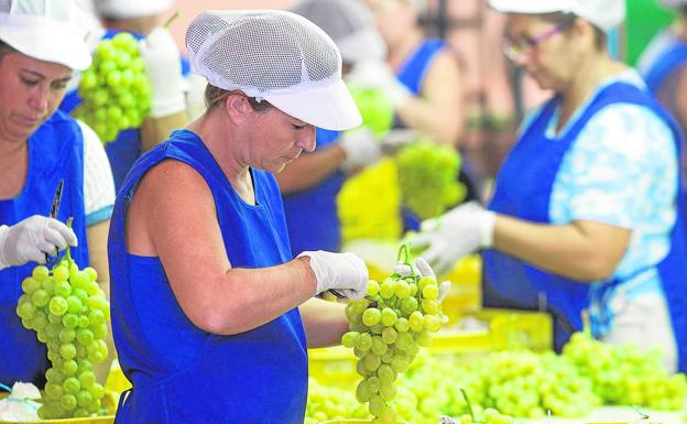 Alimentos valencianos avalados por la denominación de origen