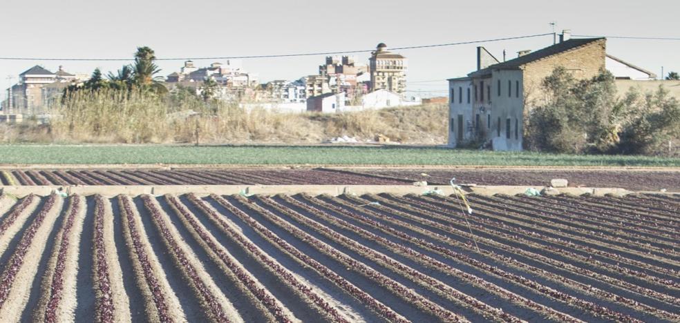 El Consell se compromete a reconsiderar los puntos más conflictivos de la ley de l'Horta