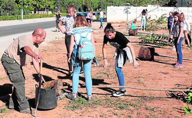 El Día del Árbol se celebra con actos para concienciar sobre el valor de la naturaleza