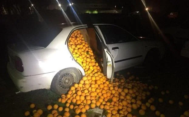 Les detienen con 4.000 kilos de naranjas en el coche y alegan consumo propio