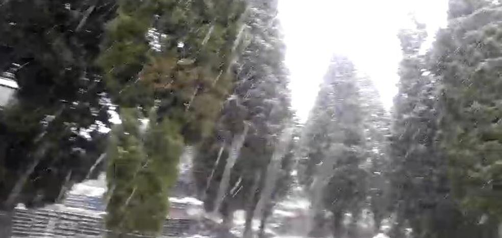 Nieva a menos de 700 metros en el interior de la Comunitat