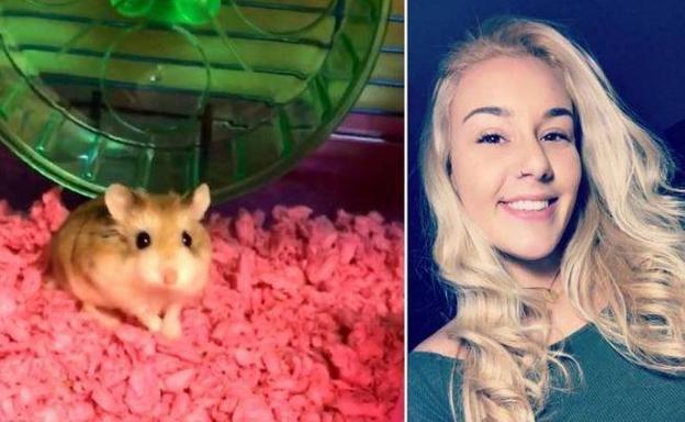 Una aerolínea hace que una pasajera tire por el inodoro a su hámster al no dejarle volar con él