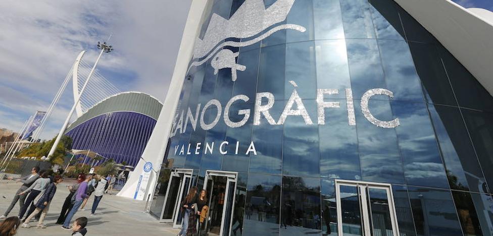 El Oceanogràfic se reinventa por su 15 aniversario