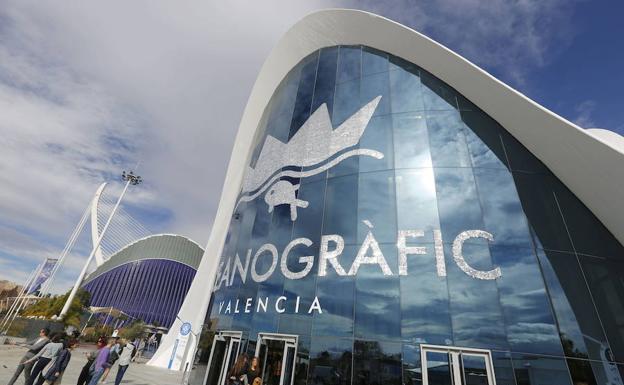 El Oceanogràfic se reinventa por su 15 aniversario