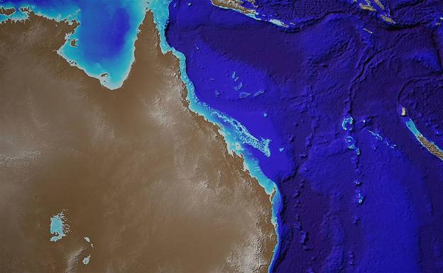 Australia ha perdido casi todos sus arrecifes de crustáceos