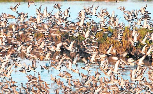 Una zona perfecta para disfrutar del turismo ornitológico