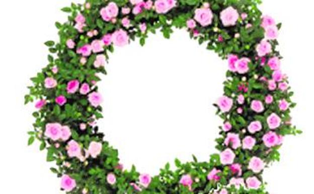 Coronas Eco Friendly, una propuesta sostenible