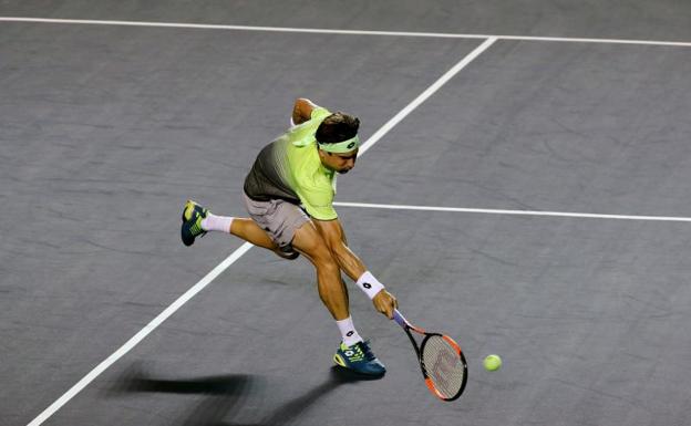 Del Potro vence a Ferrer en un trepidante partido y accede a cuartos de final en Acapulco