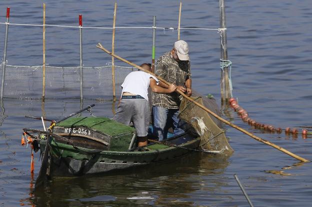 El Consell reactiva la declaración de la Albufera como reserva de la biosfera