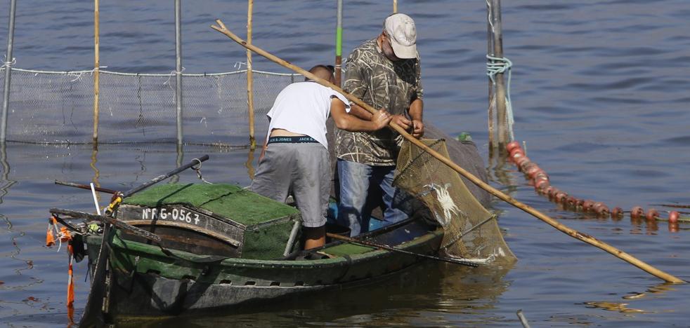 El Consell reactiva la declaración de la Albufera como reserva de la biosfera