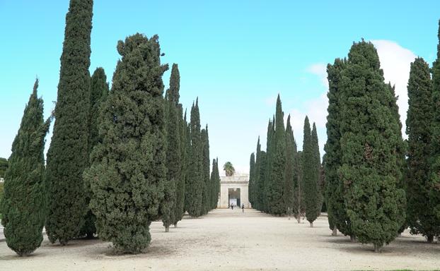 Redescubre Jardines de Viveros