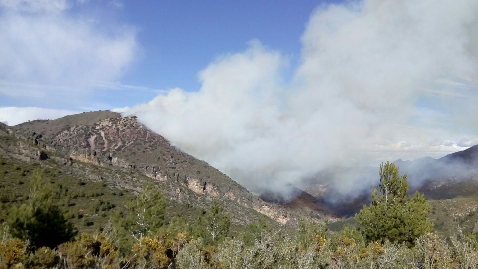 Fotos del incendio en Montán (Castellón)